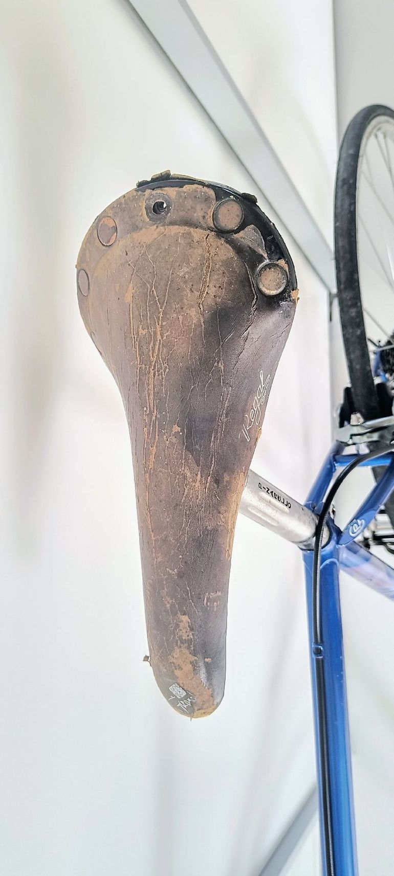 Used Pinarello Custom Other 1980 Road & Gravel, Blue — image 11 of 14