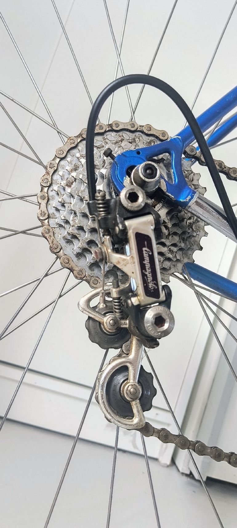 Used Pinarello Custom Other 1980 Road & Gravel, Blue — image 4 of 14