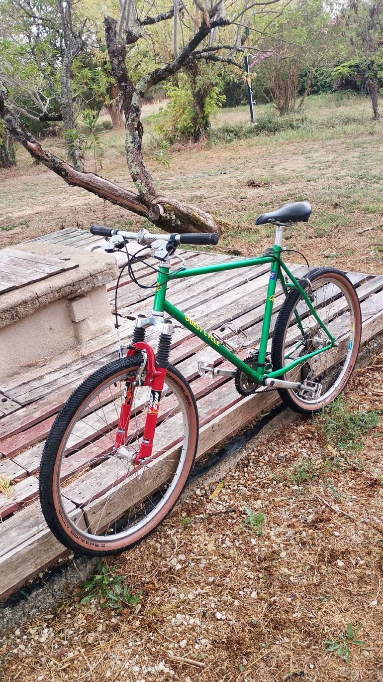 Tweedehands Ouest cycles Custom Shimano Acera 1994 Mountainbike — afbeelding 7 van 10