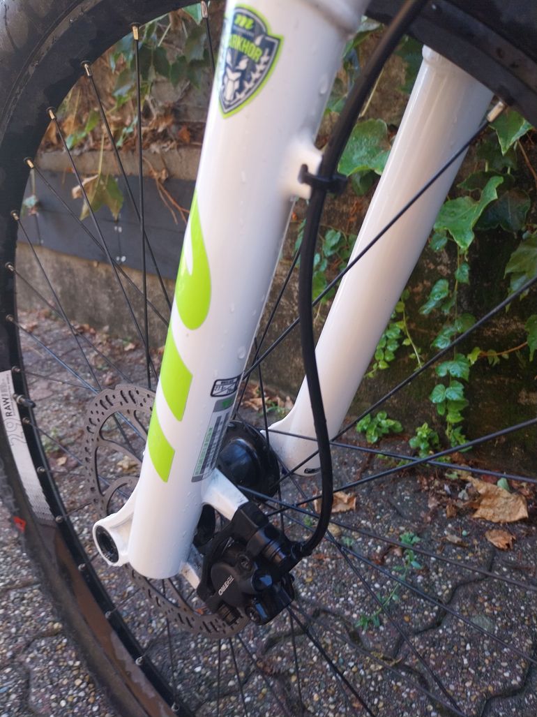 Used ROCKRIDER RACE 700 2025 Mountainbike, White — image 6 of 16