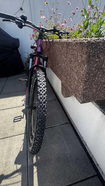 Used BULLS Feli Shimano Tourney 2021 Mountainbike, Purple — image 8 of 14