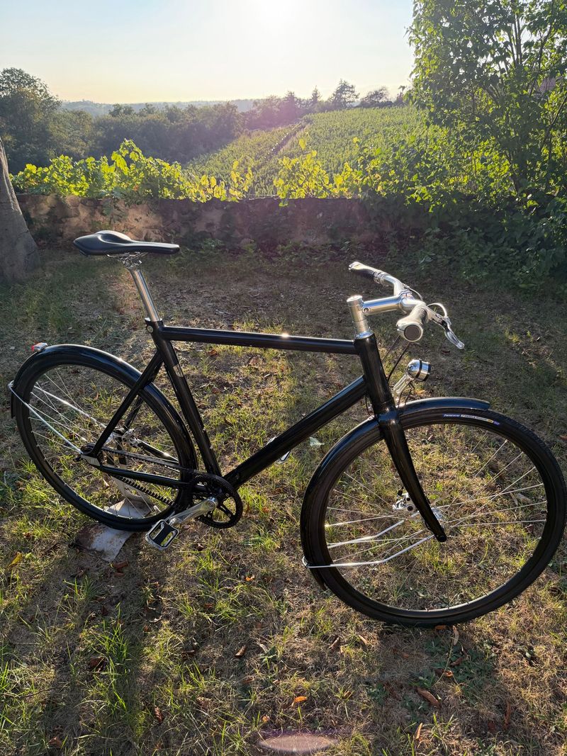 Used Schindelhauer Friedrich Single Speed / Fixed Gear 2021 Urban & Touring