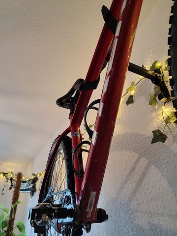 Brugt Trek Marlin 8 Gen 3 2023 2023 Mountainbike — billede 6 af 16