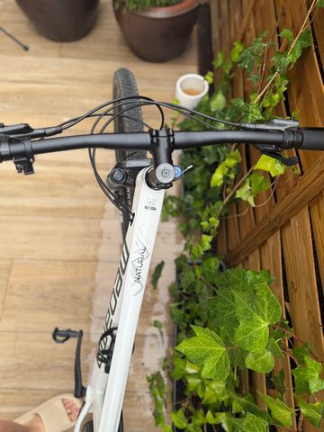 Brugt Megamo Natural SRAM X01 Eagle 2025 Mountainbike — billede 4 af 7