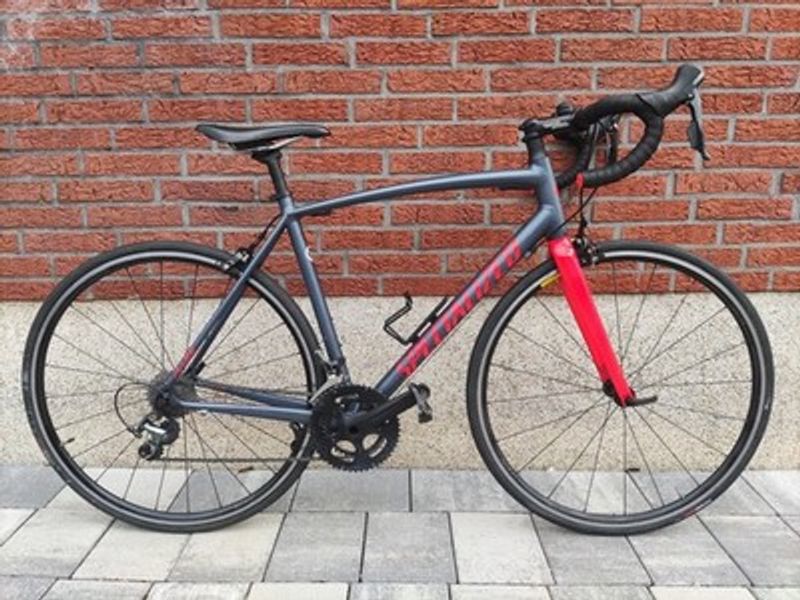 Used Specialized Allez 2019 Road & Gravel
