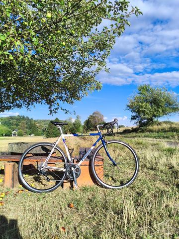 Brugt Panasonic PR5000 Restomod 1992 Road & Gravel — billede 8 af 14