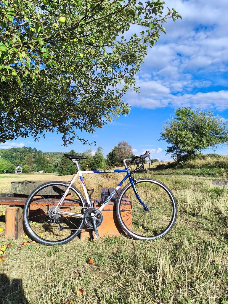 Brugt Panasonic PR5000 Restomod 1992 Road & Gravel — billede 8 af 14