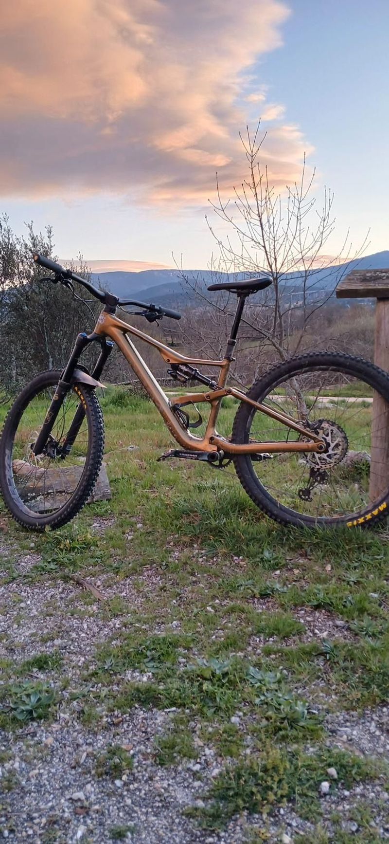 Used Orbea OCCAM LT H20 2024 2024 MTB