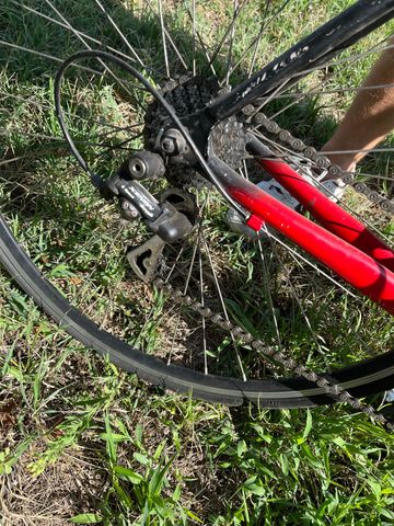 Used Pepino Custom Campagnolo Xenon 2015 Road & Gravel, Black — image 4 of 5