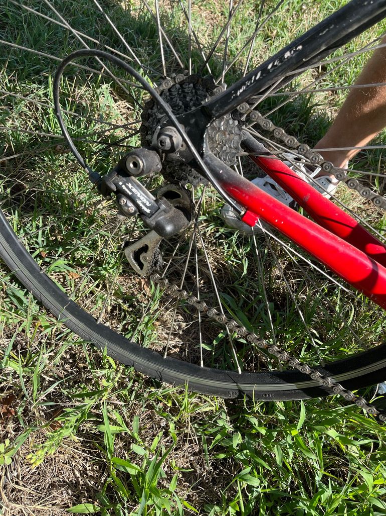 Used Pepino Custom Campagnolo Xenon 2015 Road & Gravel, Black — image 4 of 5