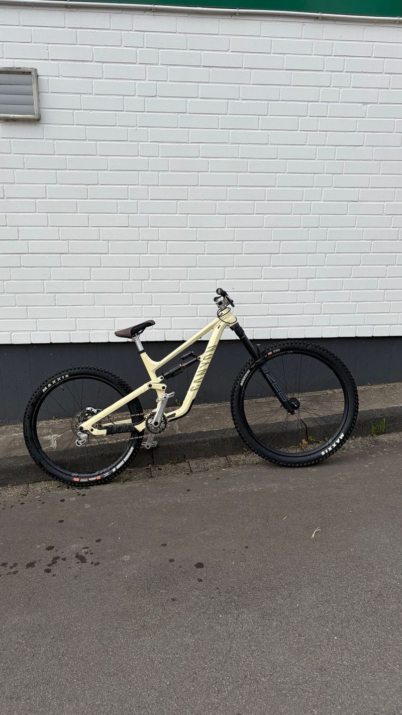 Used Canyon Torque 6 2025 2025 MTB