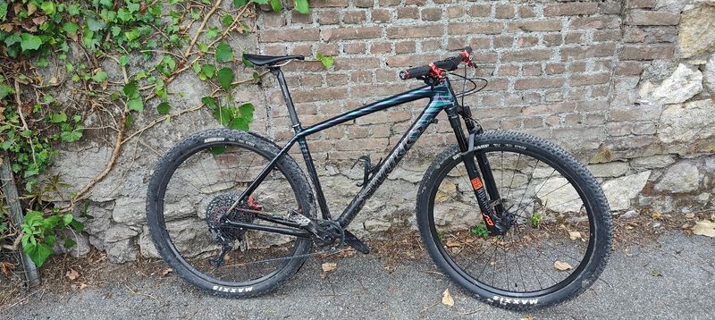 Used Specialized S-Works Epic Hardtail Ultralight 2019 2019 MTB