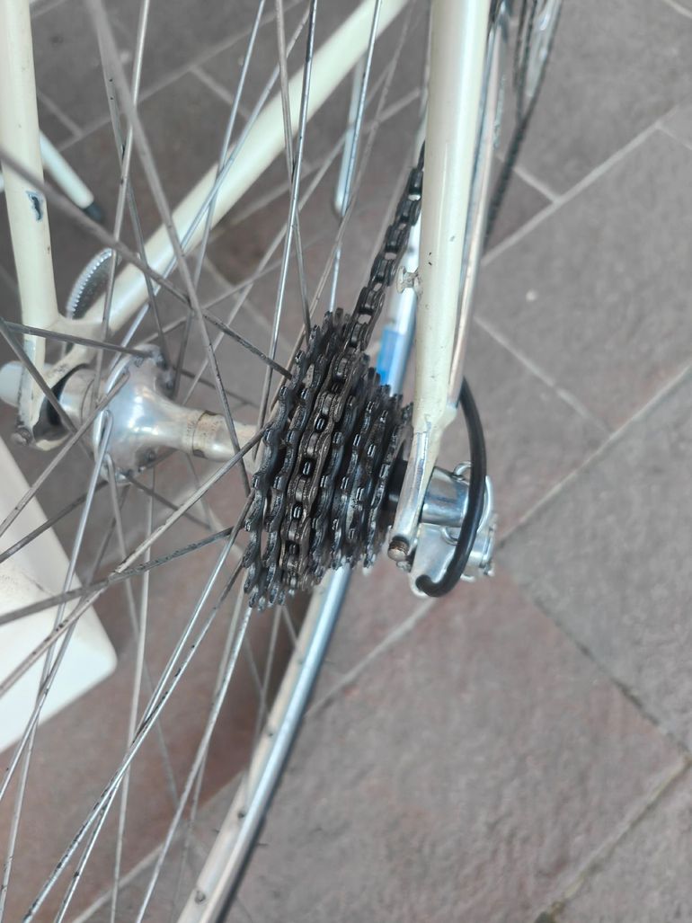 Benotto Custom Other Campagnolo 1984 Road & Gravel d'occasion — image 5 sur 5