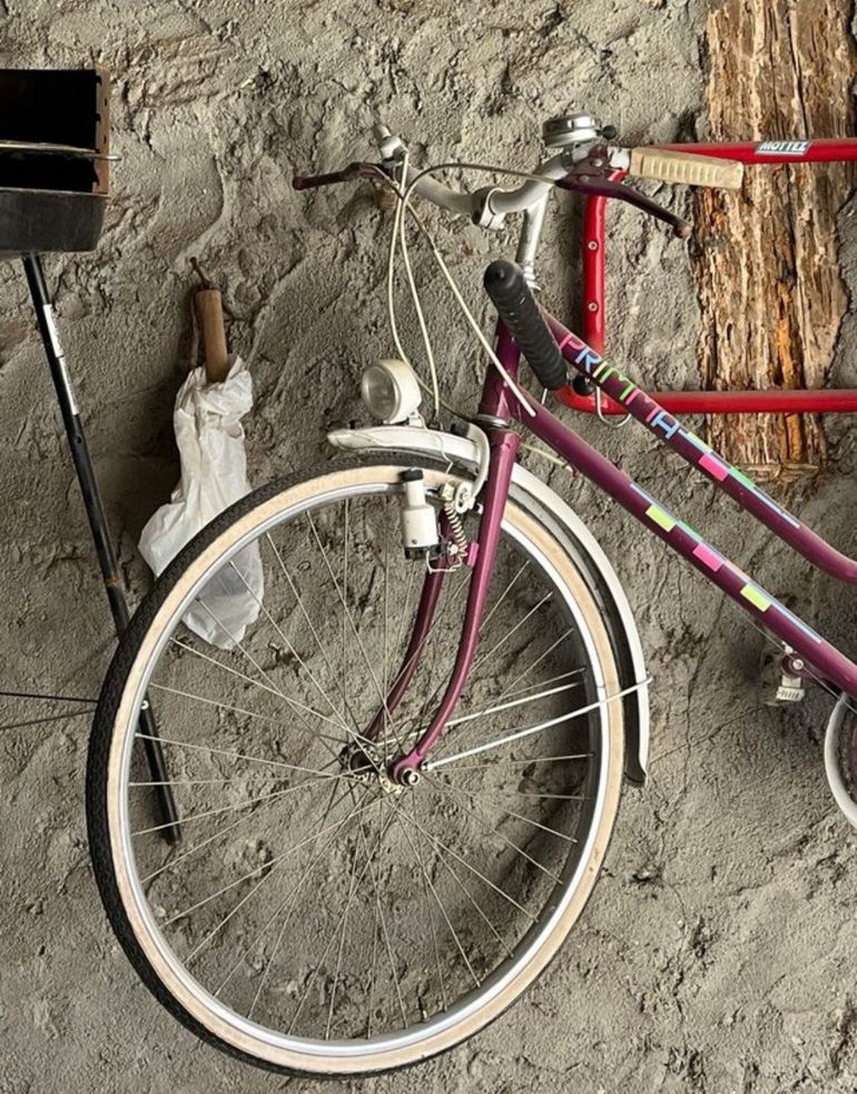 Used GAC Primma Custom Shimano Tourney 1990 Urban, Purple — image 3 of 5