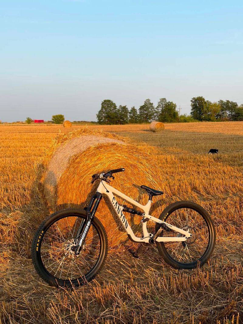 Brugt Canyon spectrial al 5 Custom Other SRAM 2025 MTB