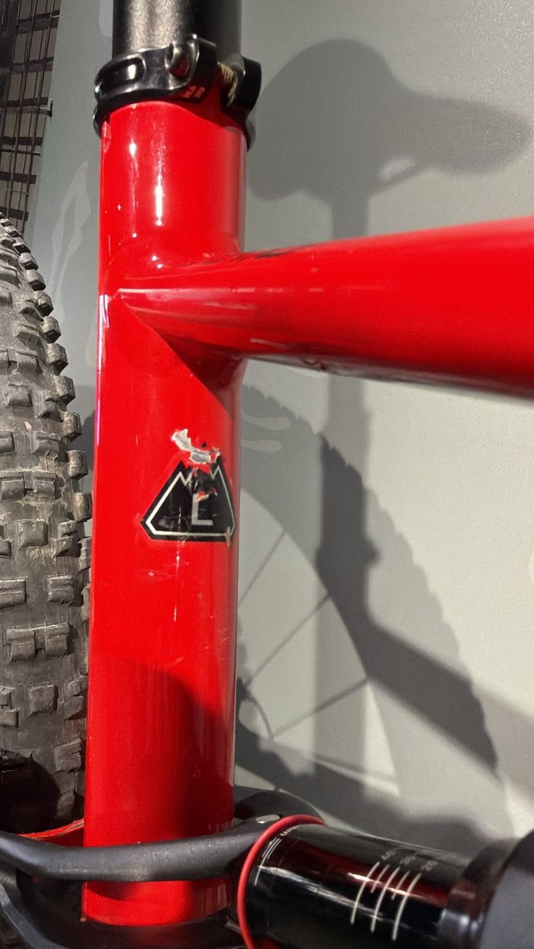 Gebrauchtes Specialized Turbo Levo 2020 2020 Mountainbike, Rot, 29 — Bild 6 von 13