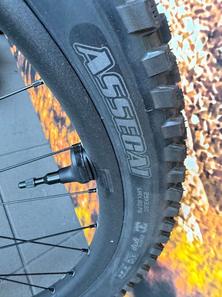 Gebrauchtes Giant Reign Advanced E+ 2 2026 2026 Mountainbike, Hellgrau, 27.5 — Bild 12 von 13