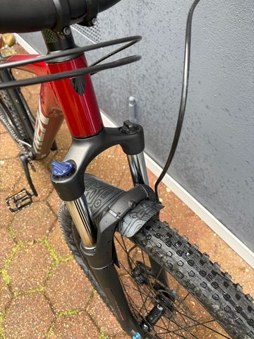 Used Trek Marlin 6 2022 2022 Mountainbike, Red, 27.5, 29 — image 14 of 16