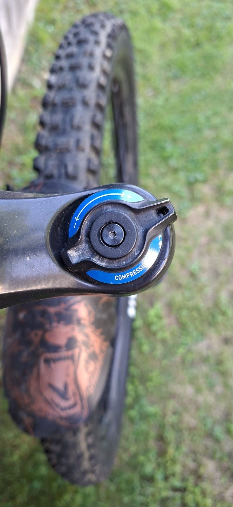 Giant Reign 29 2 2021 2021 Mountainbike d'occasion — image 11 sur 16