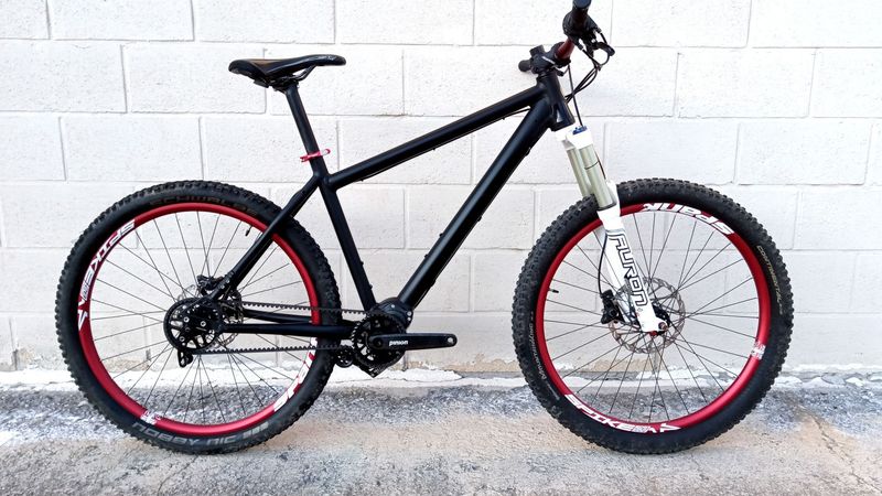 Used Müsing Hardtail MTB Pinion C1.12 Gates CDX Belt Drive, Size L 2018 MTB