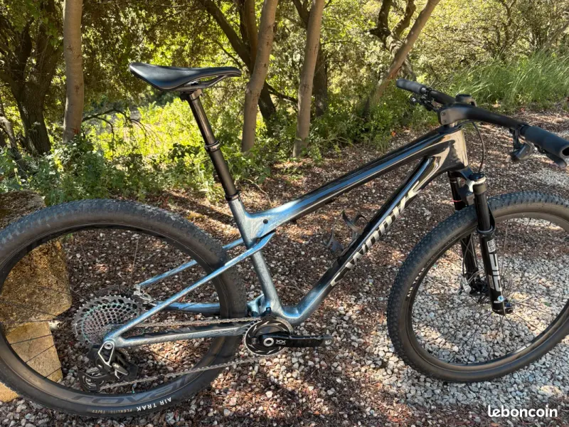 Used Specialized Epic World Cup Sworks 2025 MTB