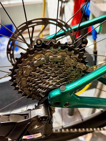 Used Specialized Roubaix SL8 Pro 2024 2024 Road & Gravel, Green — image 4 of 4