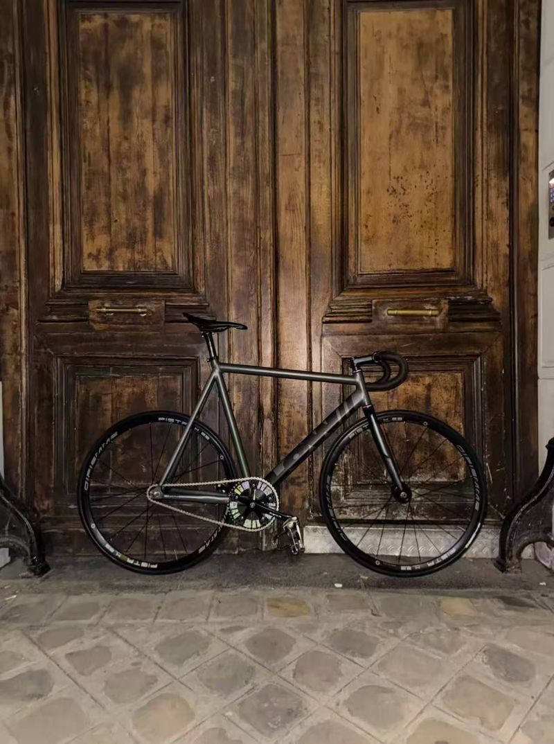 Used fixed LOW Bicycle Pursuit 2013 Rare Frameset 2013 Urban & Touring