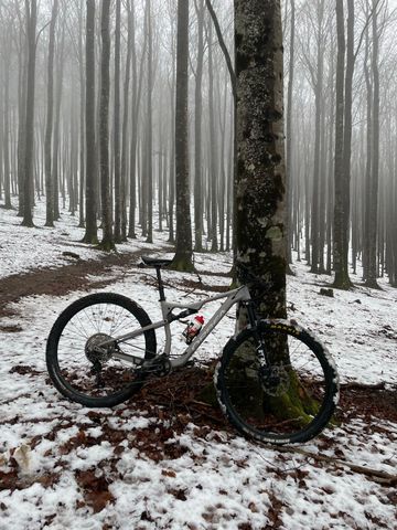 Orbea OIZ H20 2022 2022 Mountainbike usato, Grigio chiaro — immagine 3 di 5