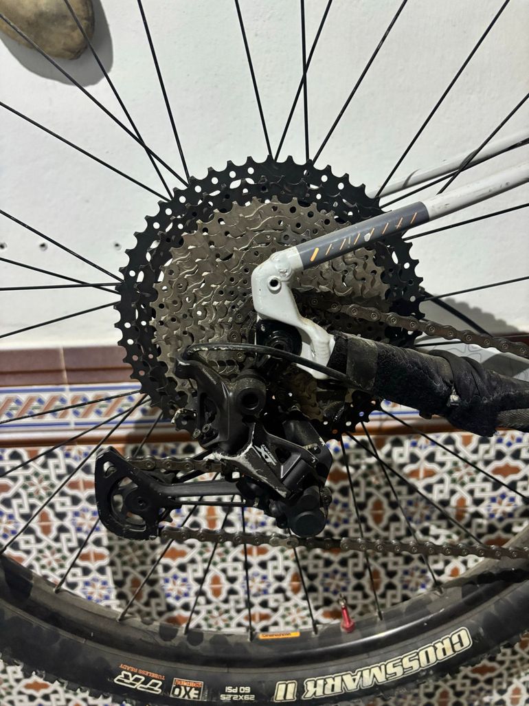 Used Cannondale Trail SL 1 2024 2024 Mountainbike, Light Gray — image 4 of 9