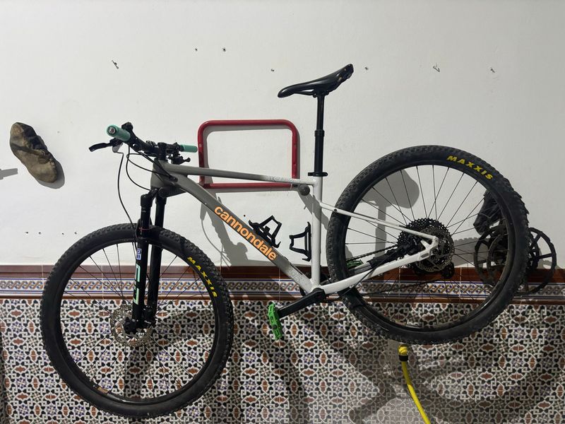 Used Cannondale Trail SL 1 2024 2024 MTB