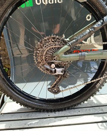 Used Focus SAM 8.8 2021 2021 Mountainbike, Green, 29 — image 9 of 10