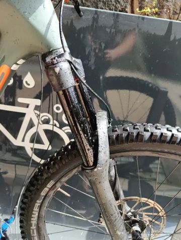 Used Focus SAM 8.8 2021 2021 Mountainbike, Green, 29 — image 5 of 10