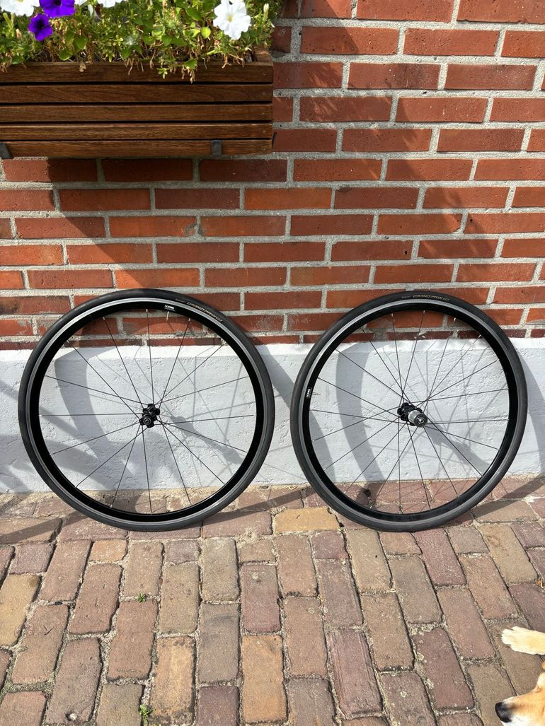 Used Ridley Damocles Shimano Ultegra 2014 Road & Gravel, Black — image 8 of 10