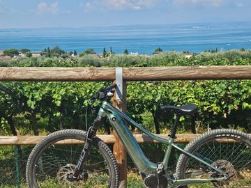 Used Liv Vall E+ 1 2022 2022 Mountainbike, Green — image 4 of 5