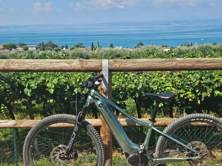 Used Liv Vall E+ 1 2022 2022 Mountainbike, Green — image 4 of 5