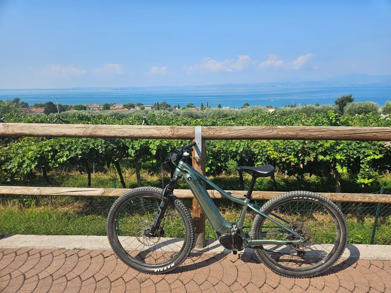 Used Liv Vall E+ 1 2022 2022 MTB