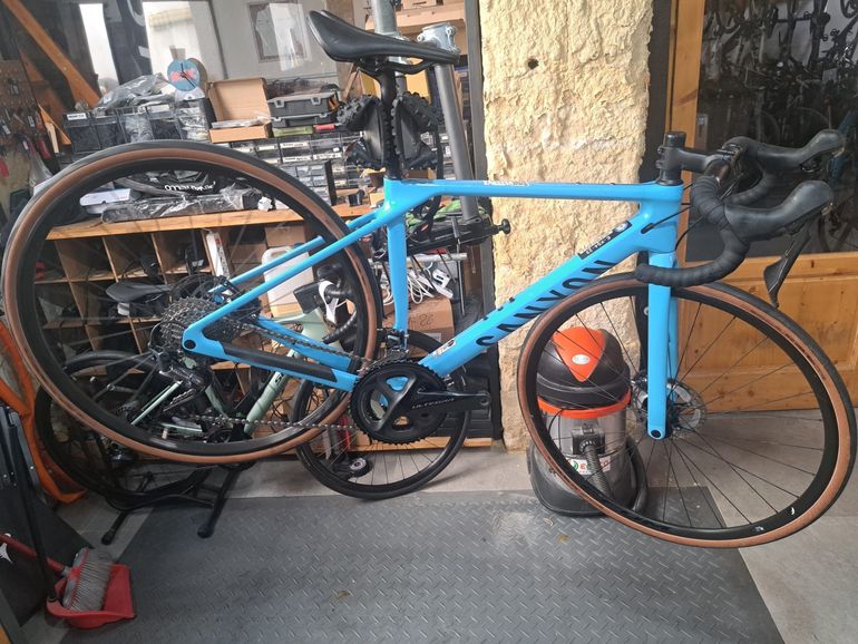 Canyon Endurace CF 8 2023 2023 Road & Gravel d'occasion — image 3 sur 5