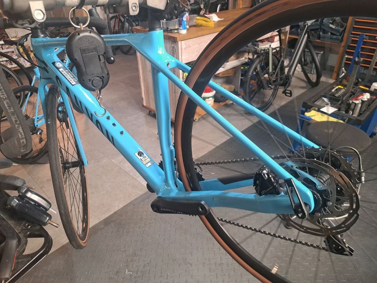 Canyon Endurace CF 8 2023 2023 Road & Gravel d'occasion — image 2 sur 5