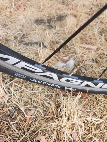 Used Dedacciai Custom Other Campagnolo 2013 Road & Gravel, White — image 8 of 9