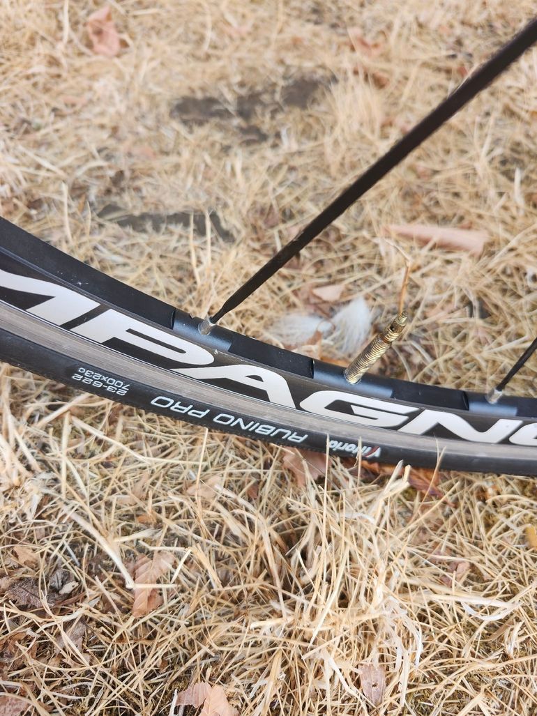 Used Dedacciai Custom Other Campagnolo 2013 Road & Gravel, White — image 8 of 9