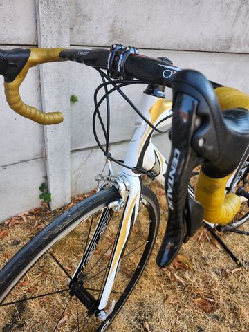 Used Dedacciai Custom Other Campagnolo 2013 Road & Gravel, White — image 7 of 9