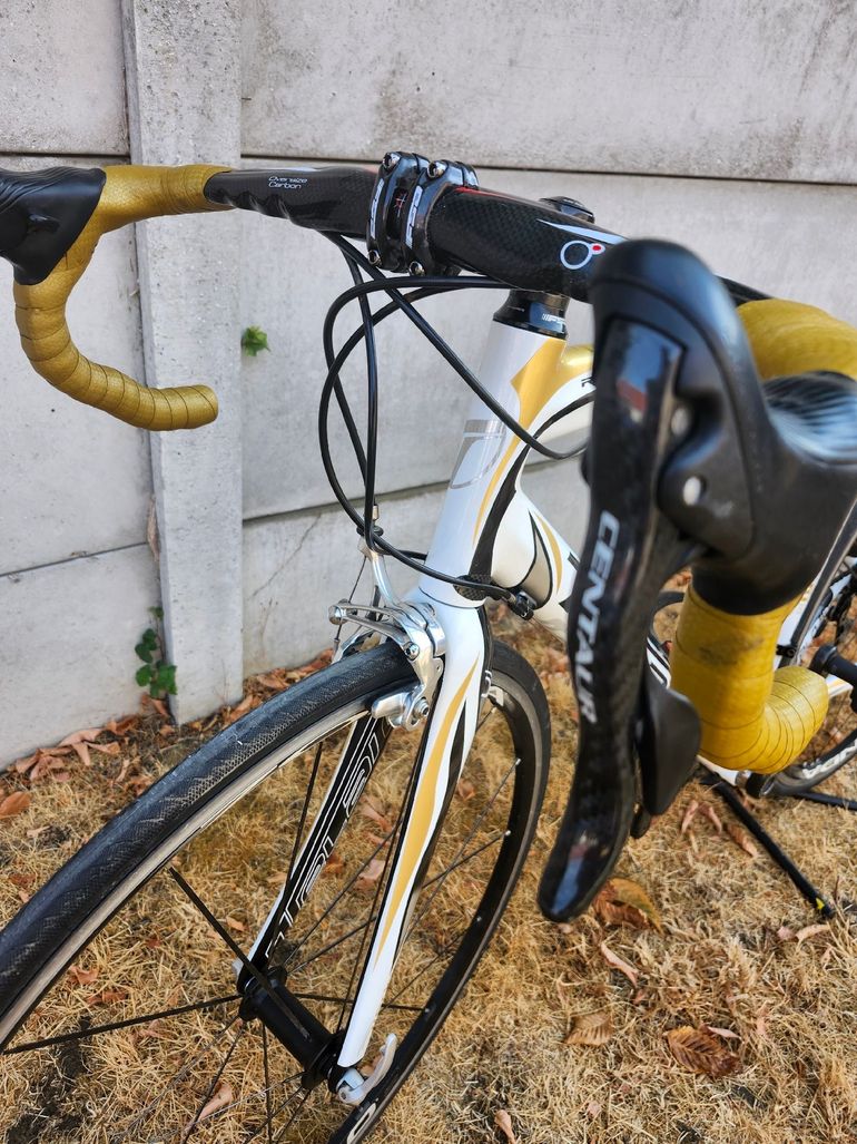 Used Dedacciai Custom Other Campagnolo 2013 Road & Gravel, White — image 7 of 9