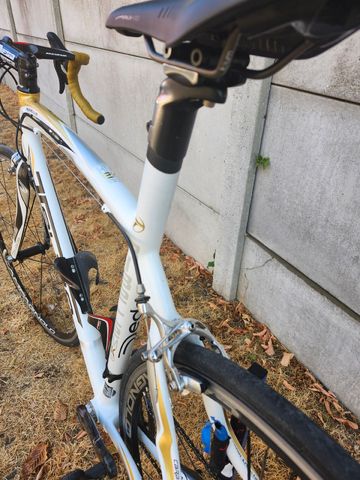 Used Dedacciai Custom Other Campagnolo 2013 Road & Gravel, White — image 6 of 9