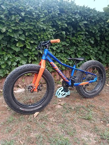 Gebrauchtes Specialized Fatboy 20 2020 2020 Mountainbike, Blau, 20 — Bild 1 von 3