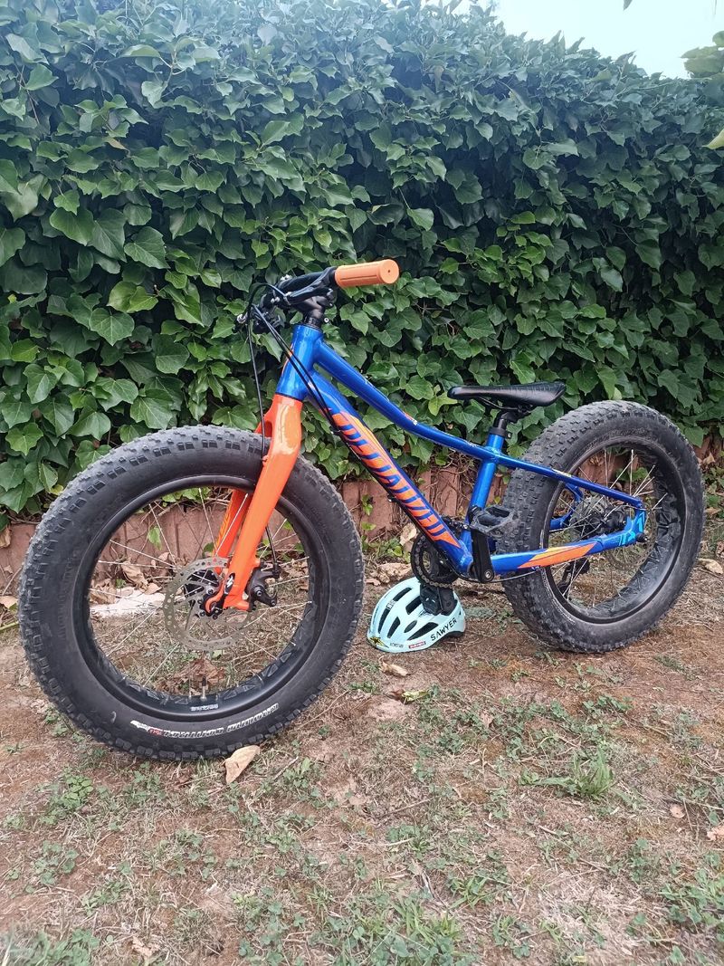 Used Specialized Fatboy 20 2020 2020 MTB