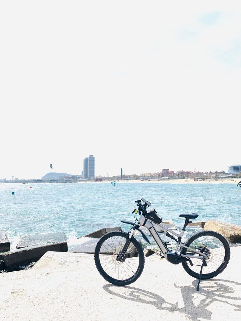 Použité ROCKRIDER 29" 500 Wh Electric Touring Mountain Bike E-EXPL 520 S 2024 2024 Road & Gravel