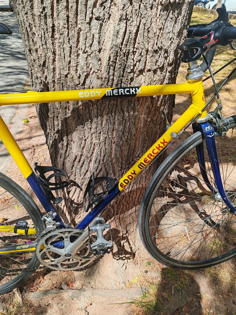 Used Eddy Merckx Custom Other 2000 Road & Gravel, Blue — image 7 of 11