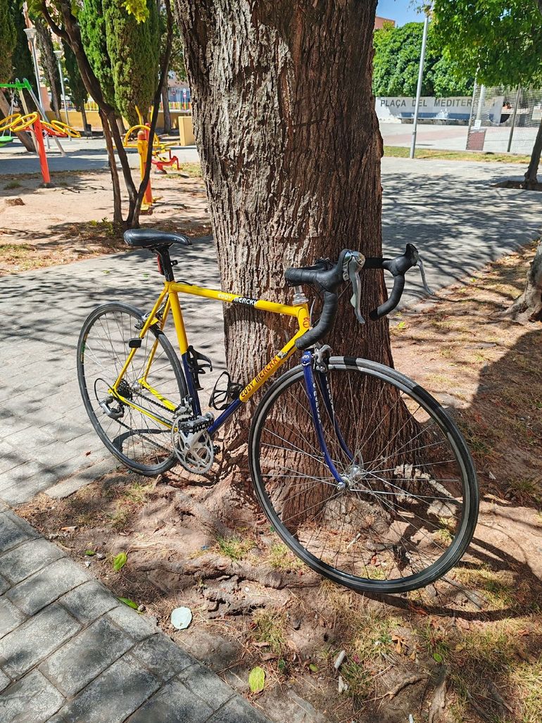Used Eddy Merckx Custom Other 2000 Road & Gravel, Blue — image 2 of 11