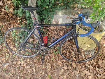 Used Olympia Custom Campagnolo Record 2012 Road & Gravel, Black — image 1 of 6