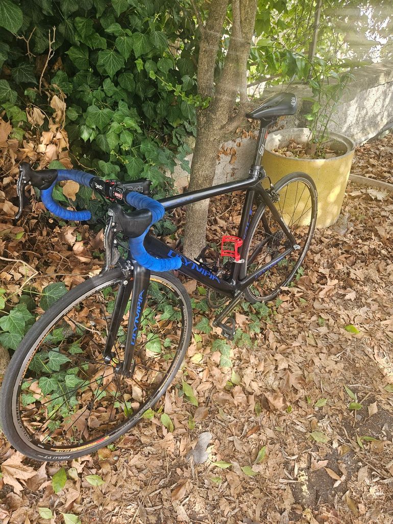 Used Olympia Custom Campagnolo Record 2012 Road & Gravel, Black — image 2 of 6